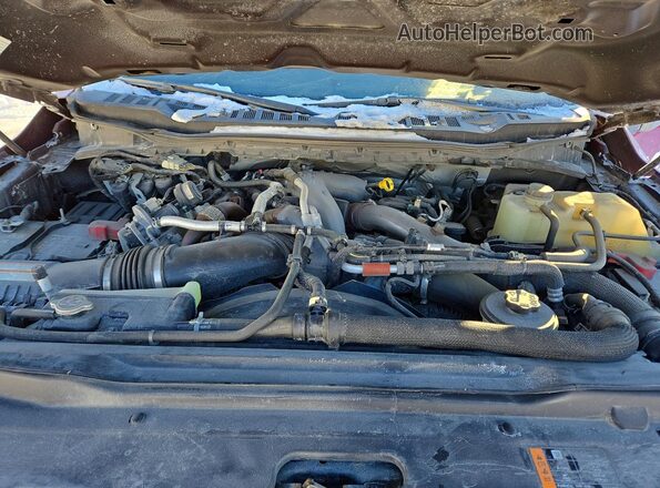 1FT8W3DM9PEC08181 2023 FORD F350 Red Вид задньої частини салону