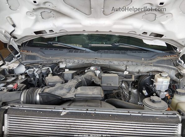 1FTBF2A64LEE04013 2020 FORD F-250 White Widok z tyłu