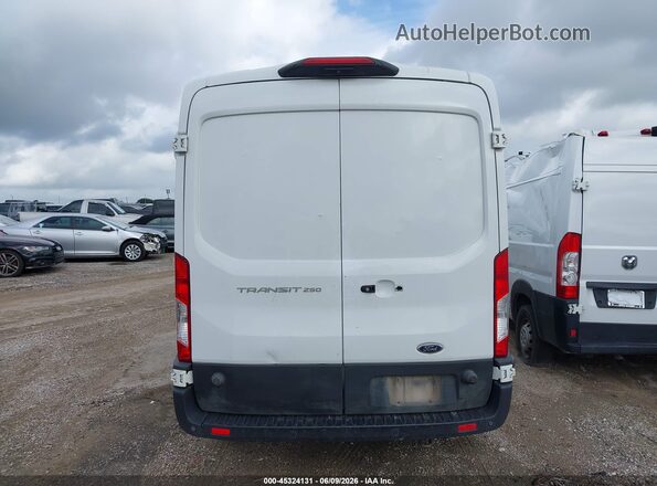 1FTBR1C81LKA68807 2020 FORD TRANSIT-250 White 