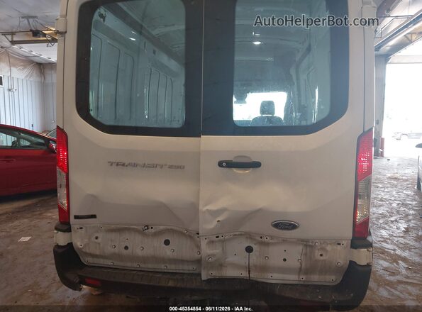 1FTBR1C83LKB59996 2020 FORD TRANSIT-250 Белый Вид спереди
