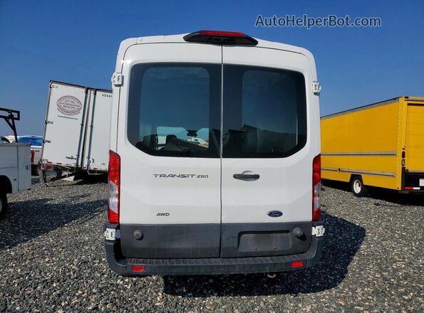 1FTBR2C8XLKA40350 2020 FORD TRANSIT White Rear view