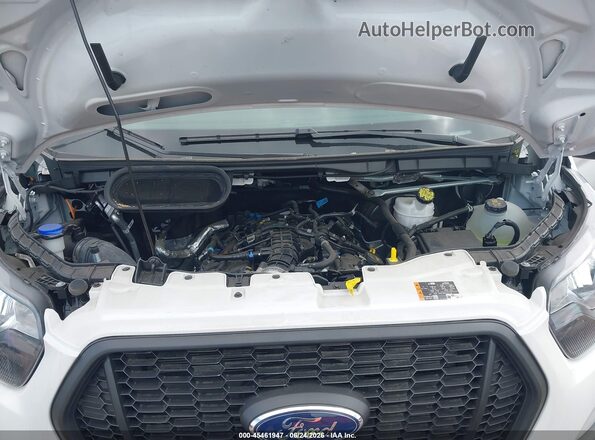 1FTBW3XG5RKB58444 2024 FORD TRANSIT-350 White Widok z tyłu