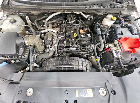 1FTER1FH9MLD36149 2021 FORD RANGER White Սալոնի հետևի տեսք
