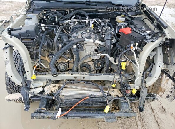 1FTER4BH8SLE63463 2025 FORD RANGER Beige Widok wnętrza z tyłu