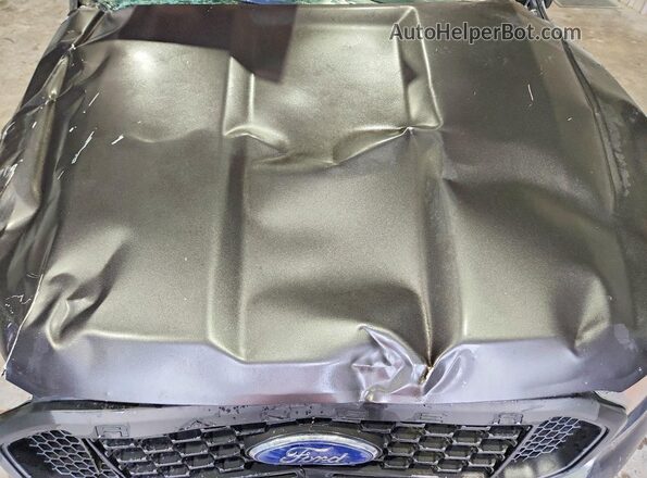 1FTER4EH3LLA07951 2020 FORD RANGER Gray უკანა სალონის ხედი