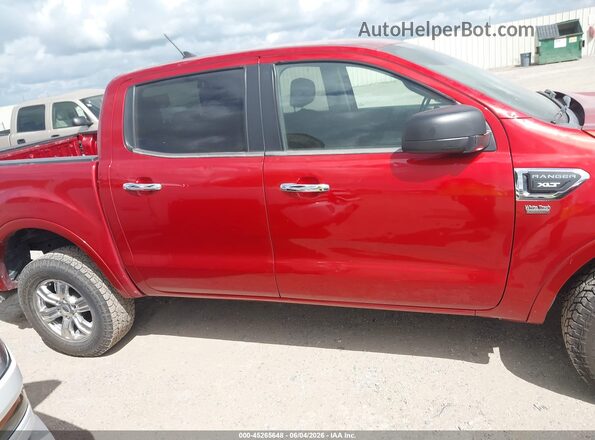 1FTER4FH1KLA76005 2019 FORD RANGER Красный Вид задней части салона
