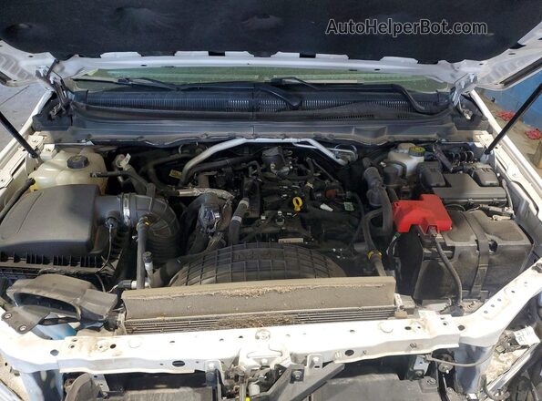 1FTER4FH5LLA11546 2020 FORD RANGER White Սալոնի հետևի տեսք