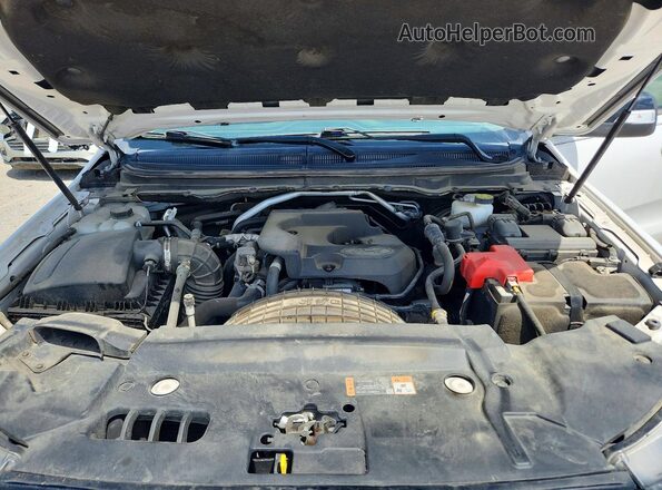 1FTER4FHXLLA50181 2020 FORD RANGER White Սալոնի հետևի տեսք