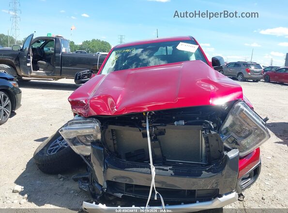 1FTER4HH7SLE68841 2025 FORD RANGER Красный Вид задней части салона