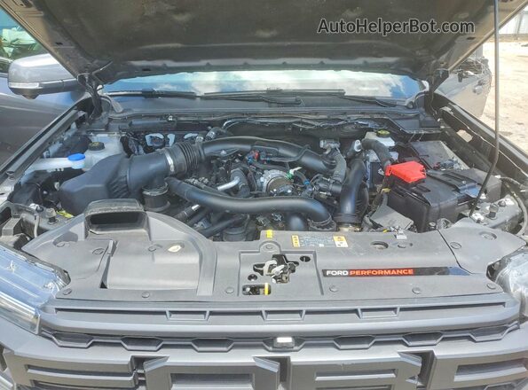 1FTER4LR8RLE63321 2024 FORD RANGER Gray Սալոնի հետևի տեսք