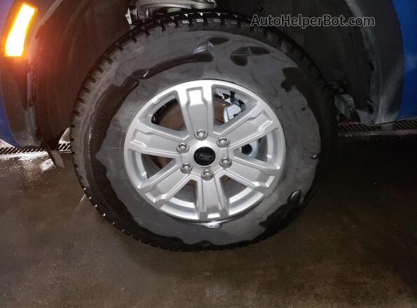 1FTER4PH0RLE66957 2024 FORD RANGER Blue 