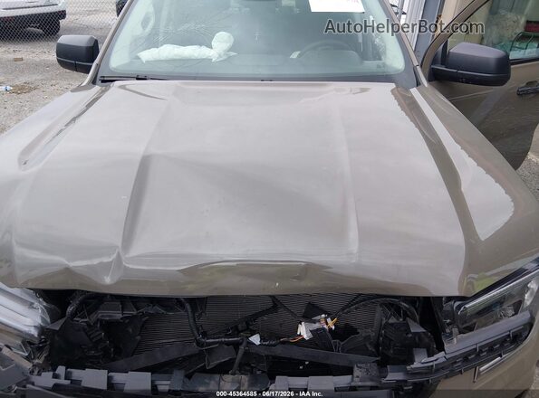 1FTER4PH0SLE04304 2025 FORD RANGER Tan Widok z tyłu