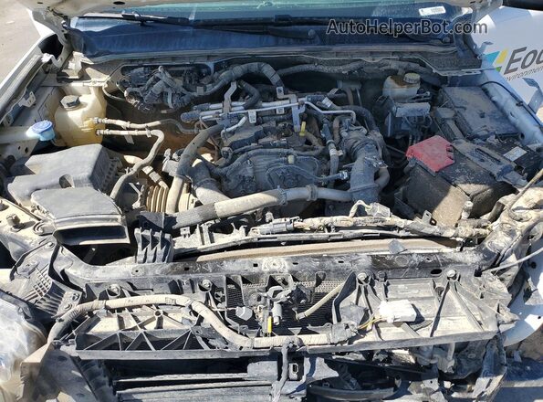 1FTER4PH7SLE02355 2025 FORD RANGER Белый Вид задней части салона