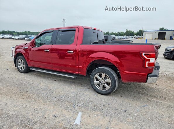 1FTEW1C44KKE34261 2019 FORD F150 Red უკანა მარცხენა
