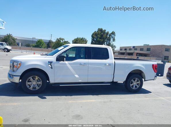 1FTEW1C52MKD18827 2021 FORD F150 White Widok wnętrza 360 stopni