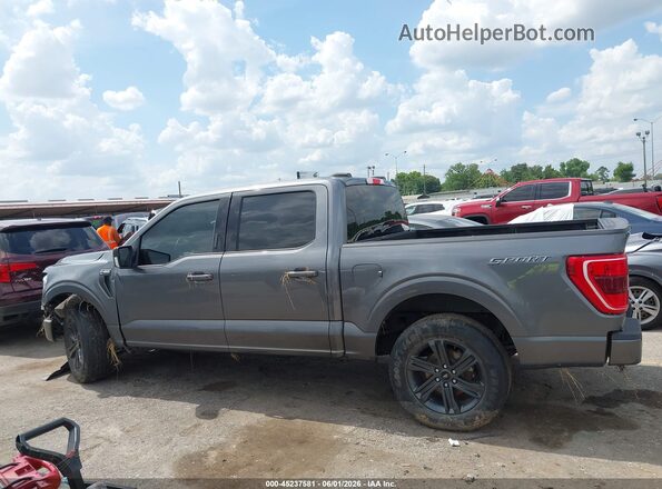 1FTEW1C53PFC27580 2023 FORD F150 Gray Widok wnętrza 360 stopni
