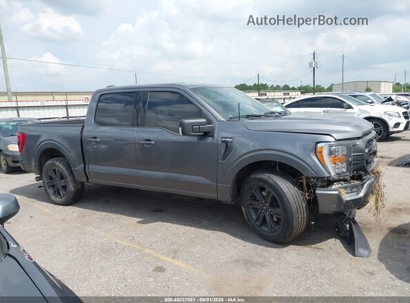 1FTEW1C53PFC27580 2023 FORD F150 Gray Widok wnętrza z tyłu