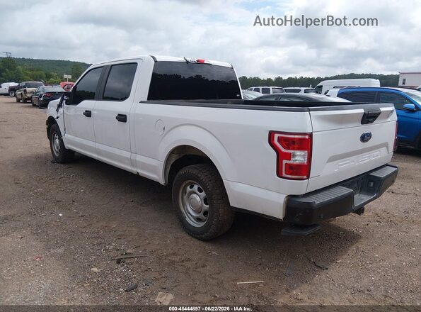1FTEW1C56KKE52852 2019 FORD F150 White Հետևի ձախ