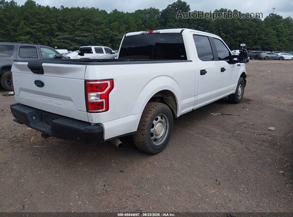1FTEW1C56KKE52852 2019 FORD F150 White Հետևի աջ