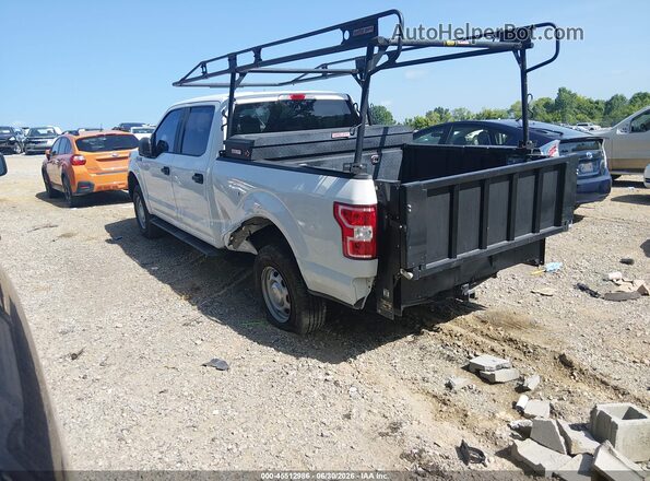 1FTEW1C57KFD54468 2019 FORD F150 White Задня ліва чверть