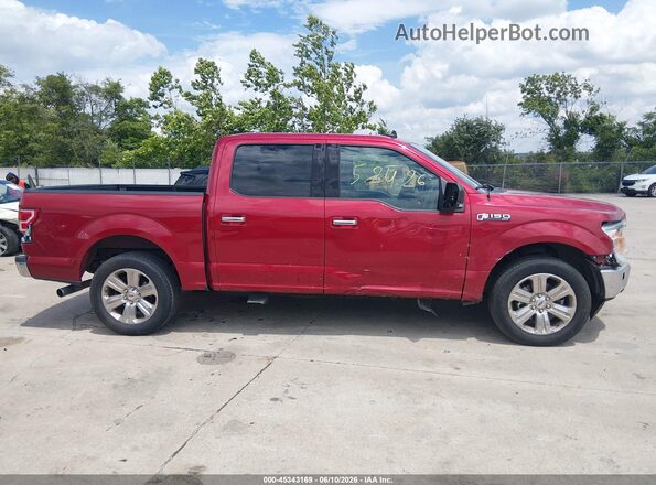 1FTEW1C59LFA48423 2020 FORD F150 Red Вид задньої частини салону