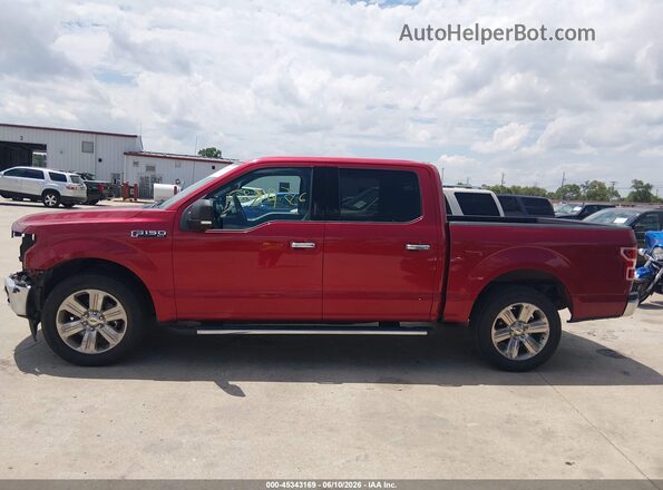 1FTEW1C59LFA48423 2020 FORD F150 Red Панорамний вид салону 360°