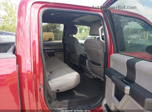 1FTEW1C59LFA48423 2020 FORD F150 Red Вид наклейки з VIN-кодом