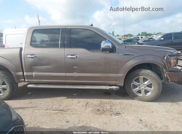 1FTEW1CB3LKD47175 2020 FORD F150 Brown უკანა სალონის ხედი