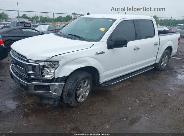 1FTEW1CB8KFB50607 2019 FORD F150 White Передня ліва чверть