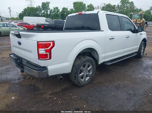1FTEW1CB8KFB50607 2019 FORD F150 White Задня права чверть