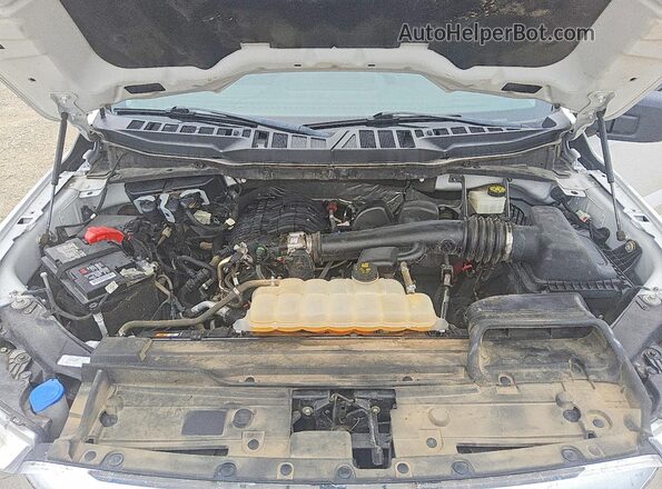 1FTEW1CB9MKE66091 2021 FORD F150 White უკანა სალონის ხედი