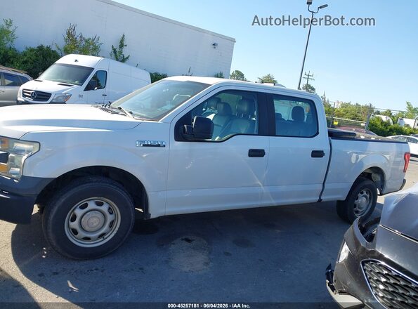 1FTEW1CF0GFB45167 2016 FORD F150 Белый 