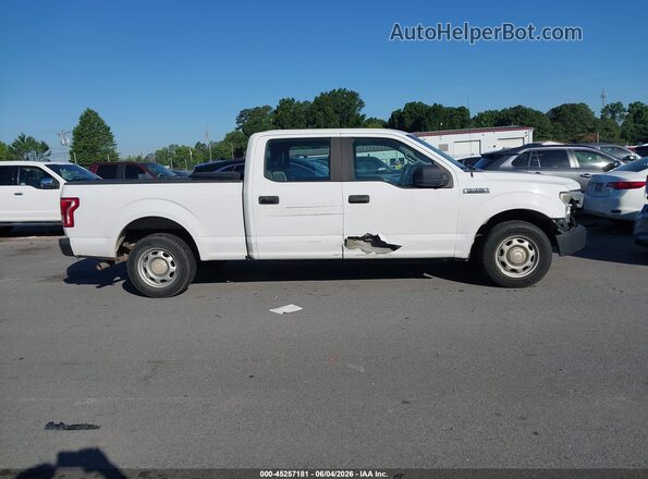 1FTEW1CF0GFB45167 2016 FORD F150 Белый 