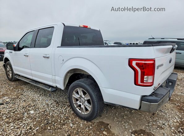 1FTEW1CF3GKE10820 2016 FORD F150 White Հետևի ձախ