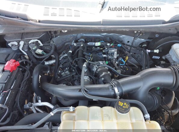 1FTEW1CP0LFC46292 2020 FORD F150 Gray Widok z tyłu