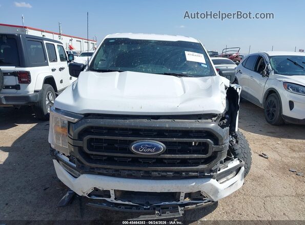 1FTEW1CP2PKD53356 2023 FORD F150 Белый Вид задней части салона