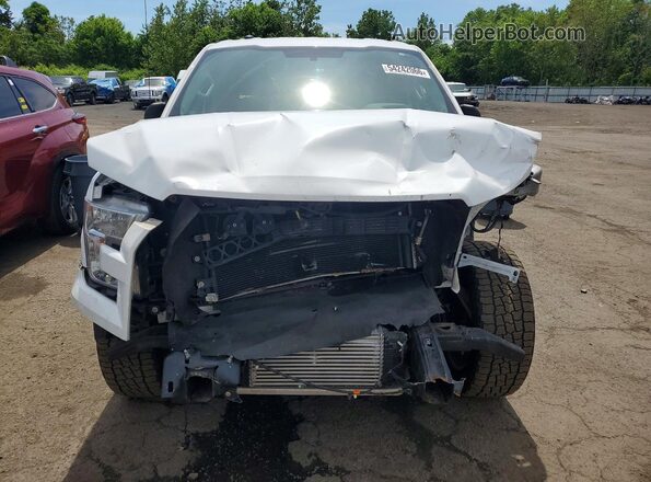 1FTEW1CP3HFC50389 2017 FORD F150 Белый 