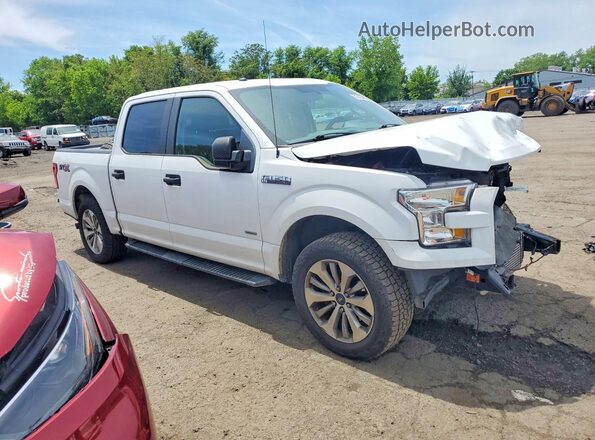 1FTEW1CP3HFC50389 2017 FORD F150 Белый 