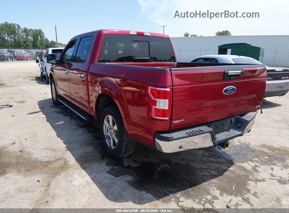 1FTEW1CP3KFD41105 2019 FORD F150 Red Tył lewy