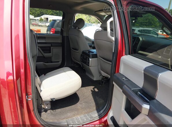 1FTEW1CP3KFD41105 2019 FORD F150 Red Widok naklejki z numerem VIN