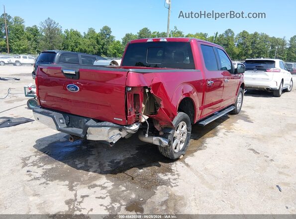 1FTEW1CP3KFD41105 2019 FORD F150 Red Tył prawy
