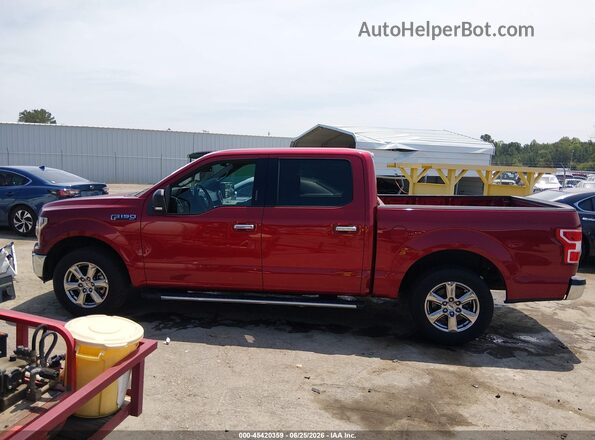 1FTEW1CP3KFD41105 2019 FORD F150 Red Widok wnętrza 360 stopni