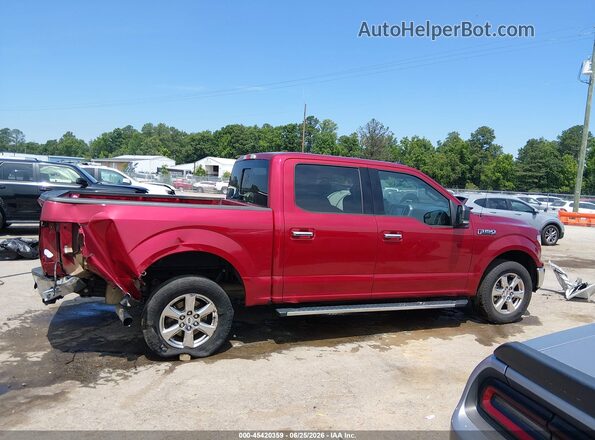 1FTEW1CP3KFD41105 2019 FORD F150 Red Widok wnętrza z tyłu