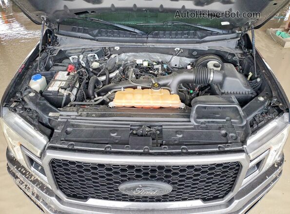 1FTEW1CP3KKC10585 2019 FORD F150 Gray Rear interior view