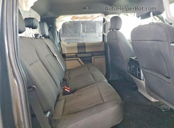 1FTEW1CP3KKC10585 2019 FORD F150 Gray Rear seats view
