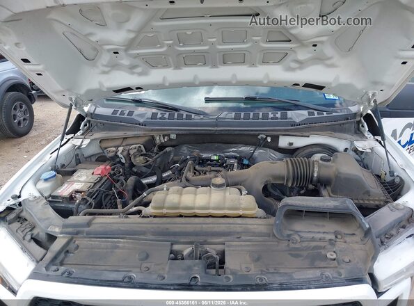 1FTEW1CP4LKE15219 2020 FORD F150 Белый Вид сзади