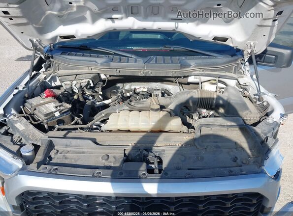 1FTEW1CP4MFB26559 2021 FORD F150 Gray Widok z tyłu