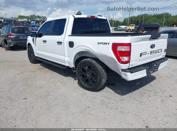 1FTEW1CP5PKF59657 2023 FORD F150 White უკანა მარცხენა