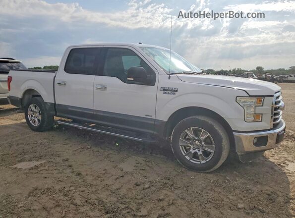 1FTEW1CP6GKF99049 2016 FORD F150 White 