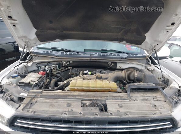 1FTEW1CP6KKD03231 2019 FORD F150 White Հետևի տեսք